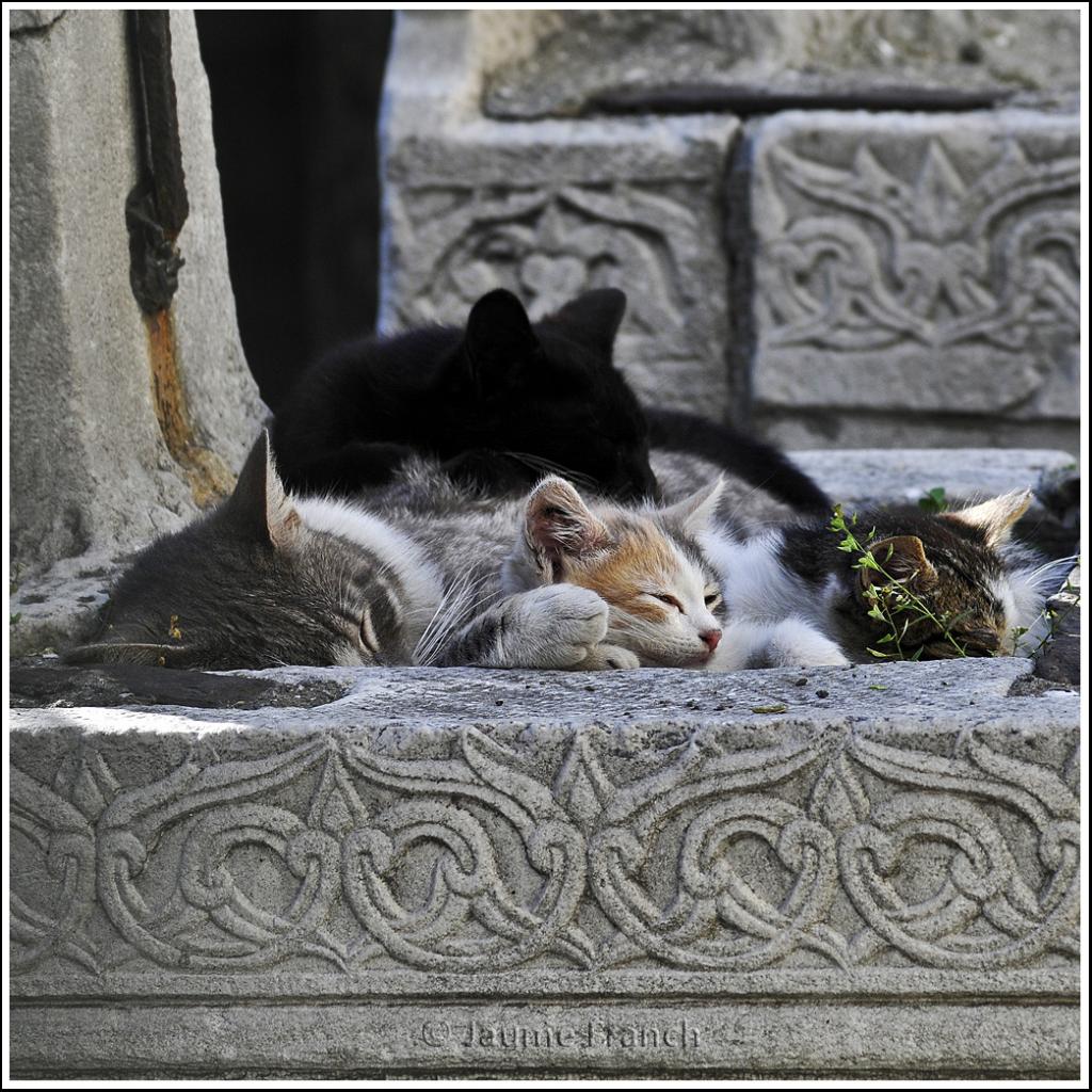 Clic en la imagen para ver su versin completa. 

Nombre: GatsIstambul-1k-1x1.jpg 
Visitas: 5601 
Tamao: 197.6 KB 
ID: 1057