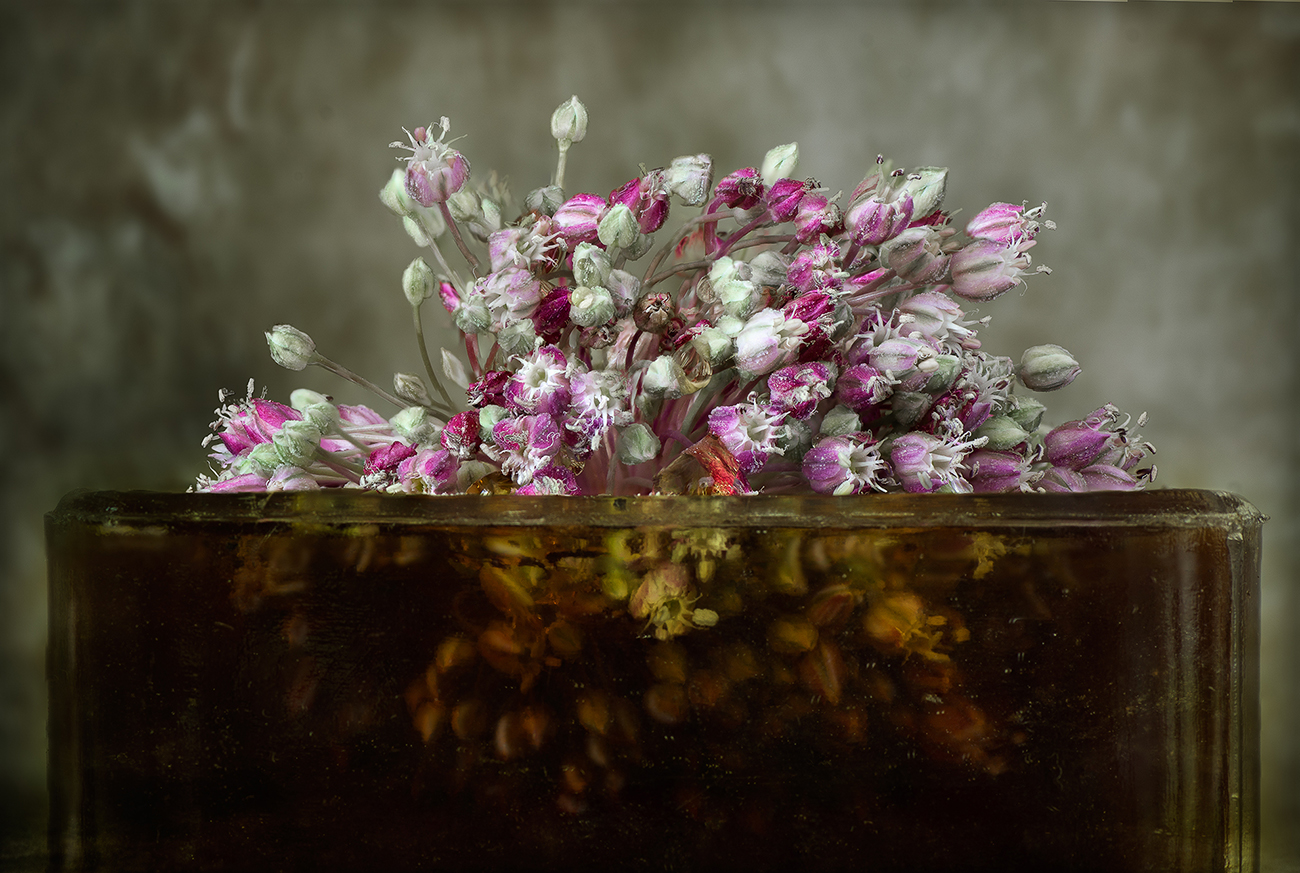 Nombre:  Soupe aux Fleurs.jpg
Visitas: 1607
Tamao: 829.6 KB
