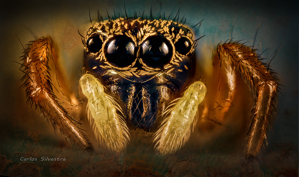 Nombre:  2021-09-27-16.46.49 ZS PMax.jpg
Visitas: 168
Tamao: 452.5 KB