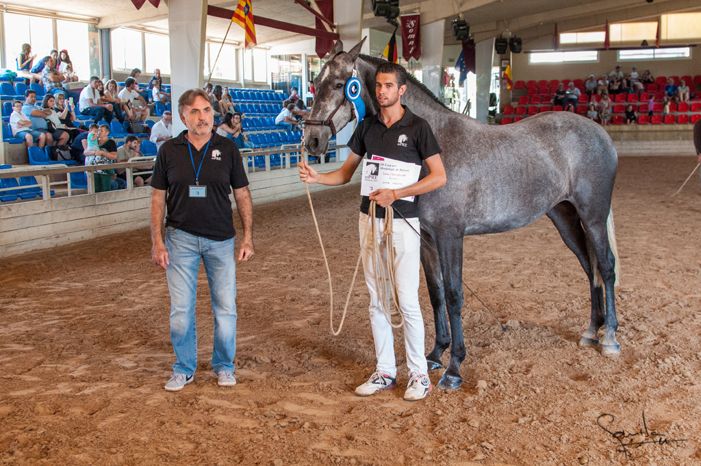 Camp. Balears Cavalls Raa Espanyola 0253