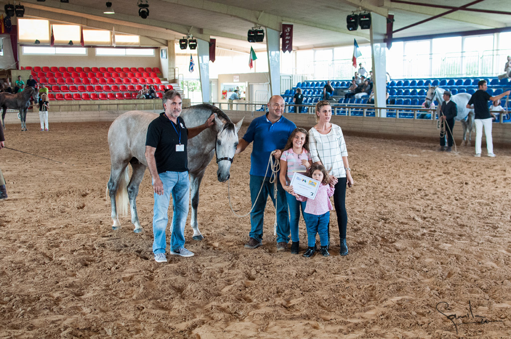 Camp. Balears Cavalls Raa Espanyola 0330