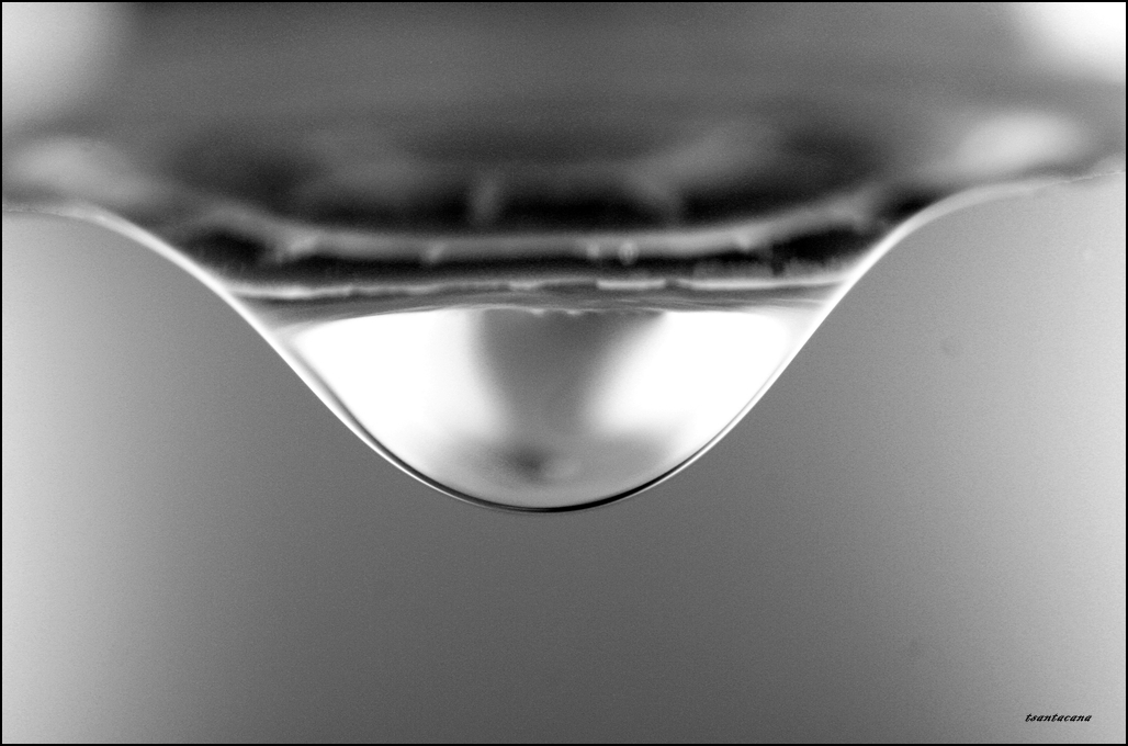 Nombre:  sa darrera gota.jpg
Visitas: 1518
Tamao: 360.0 KB