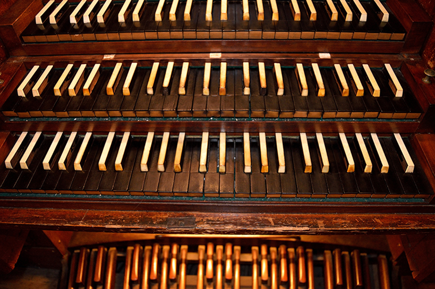 Nombre:  teclat orgue.jpg
Visitas: 1025
Tamao: 659.3 KB