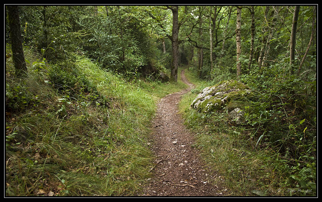 Nombre:  Camino CastejonPP.jpg
Visitas: 805
Tamao: 312.2 KB