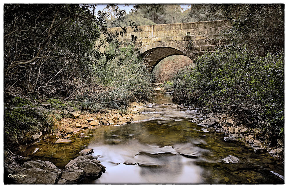 Nombre:  Pont des Bosc-11-Editar-3-2.jpg
Visitas: 834
Tamao: 532.9 KB