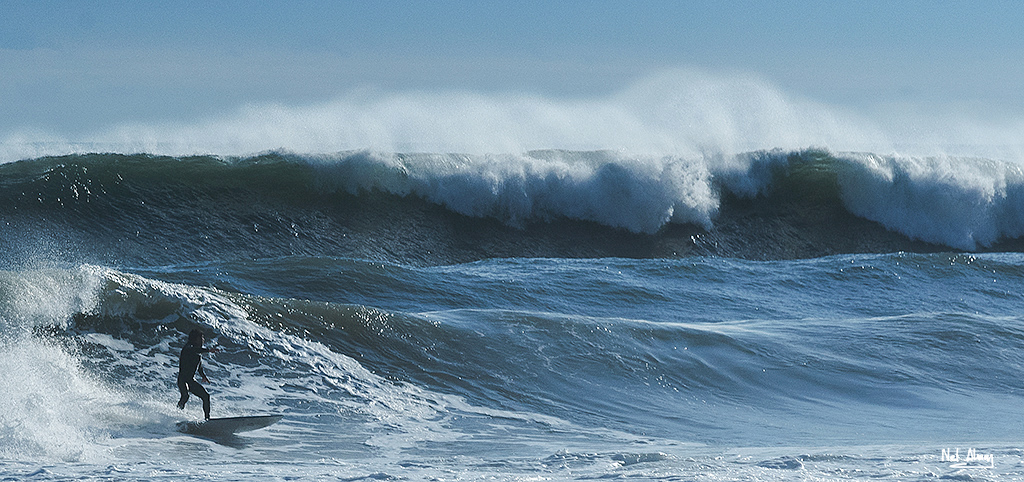 Nombre:  Surfer.jpg
Visitas: 411
Tamao: 365.9 KB