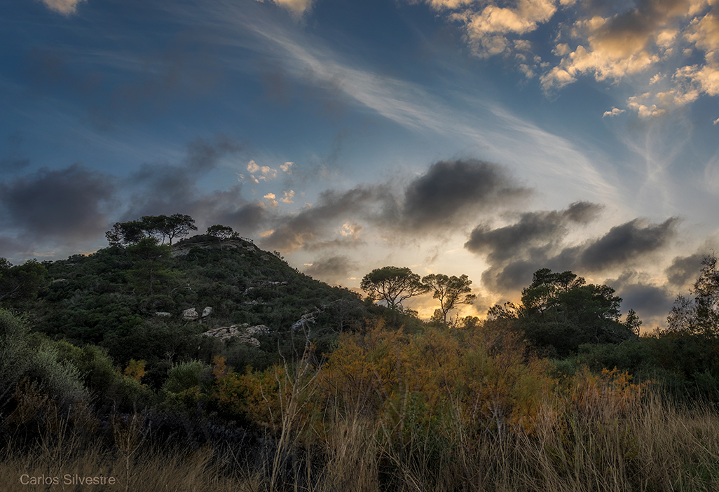 Nombre:  20201106_0009-HDR.jpg
Visitas: 416
Tamao: 472.3 KB