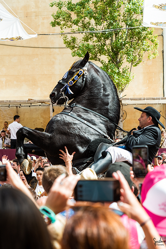 Nombre:  Festes de Gracia_0016.jpg
Visitas: 371
Tamao: 519.7 KB