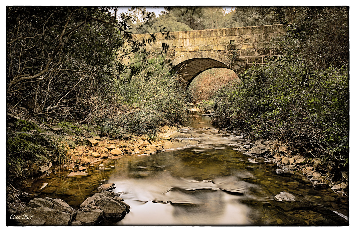 Nombre:  Pont des Bosc-11-Editar-3.jpg
Visitas: 864
Tamao: 644.6 KB