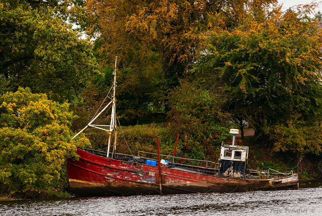 Nombre:  Barco irlandes web.jpg
Visitas: 326
Tamao: 756.5 KB