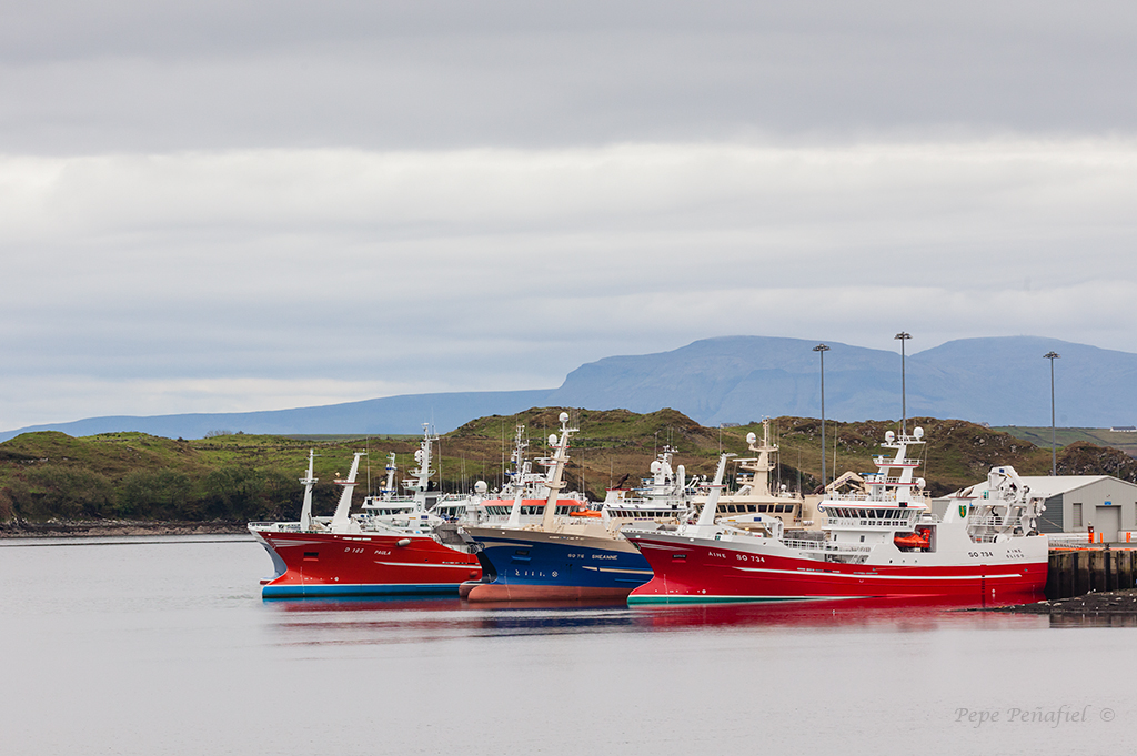 Nombre:  Puerto de Killybegs web.jpg
Visitas: 338
Tamao: 475.5 KB