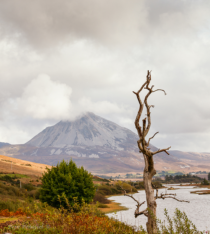 Nombre:  Mount Errigal web.jpg
Visitas: 367
Tamao: 524.9 KB