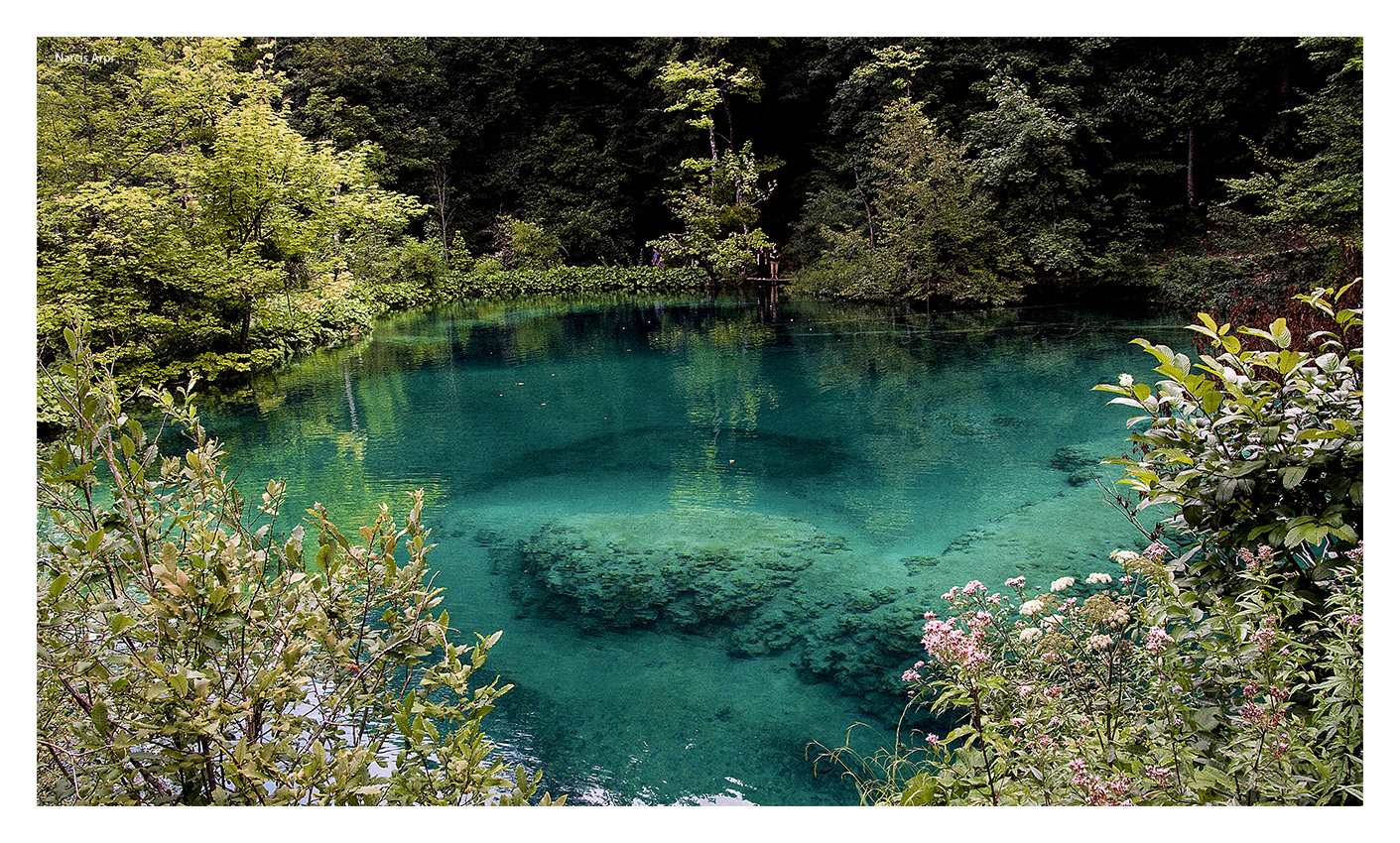 Nombre:  Plitvice.jpg
Visitas: 306
Tamao: 948.1 KB