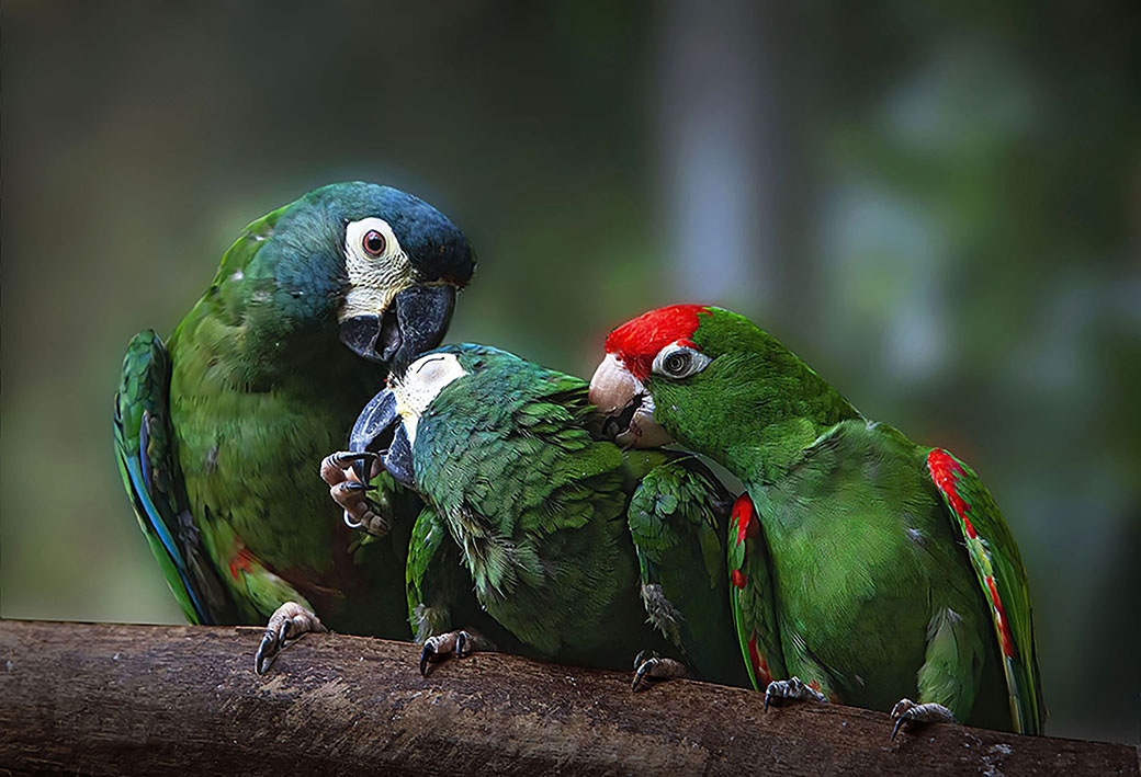 Nombre:  Un trio copia.jpg
Visitas: 89
Tamao: 169.5 KB