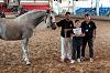 Camp. Balears Cavalls Raa Espanyola 0328