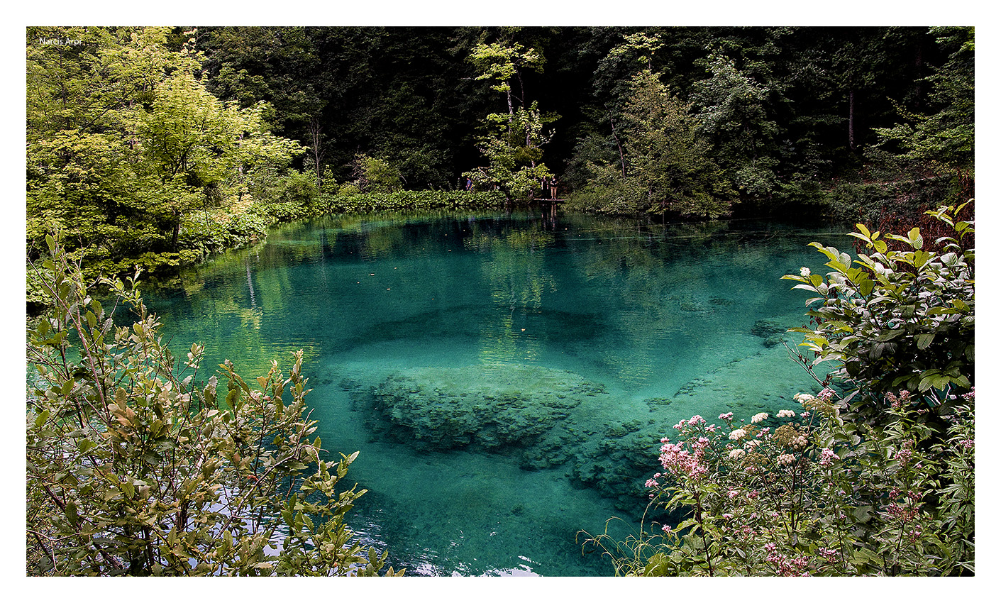 Nombre:  Plitvice v2.jpg
Visitas: 30
Tamao: 941.3 KB