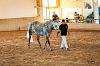 Camp. Balears Cavalls Raa Espanyola 0158