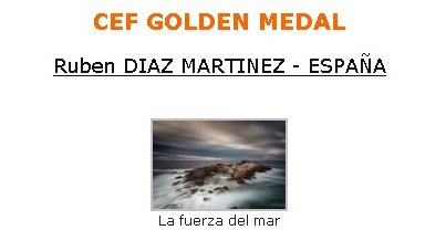 Nombre:  CEF Gold Medal.jpg
Visitas: 25
Tamao: 52.8 KB