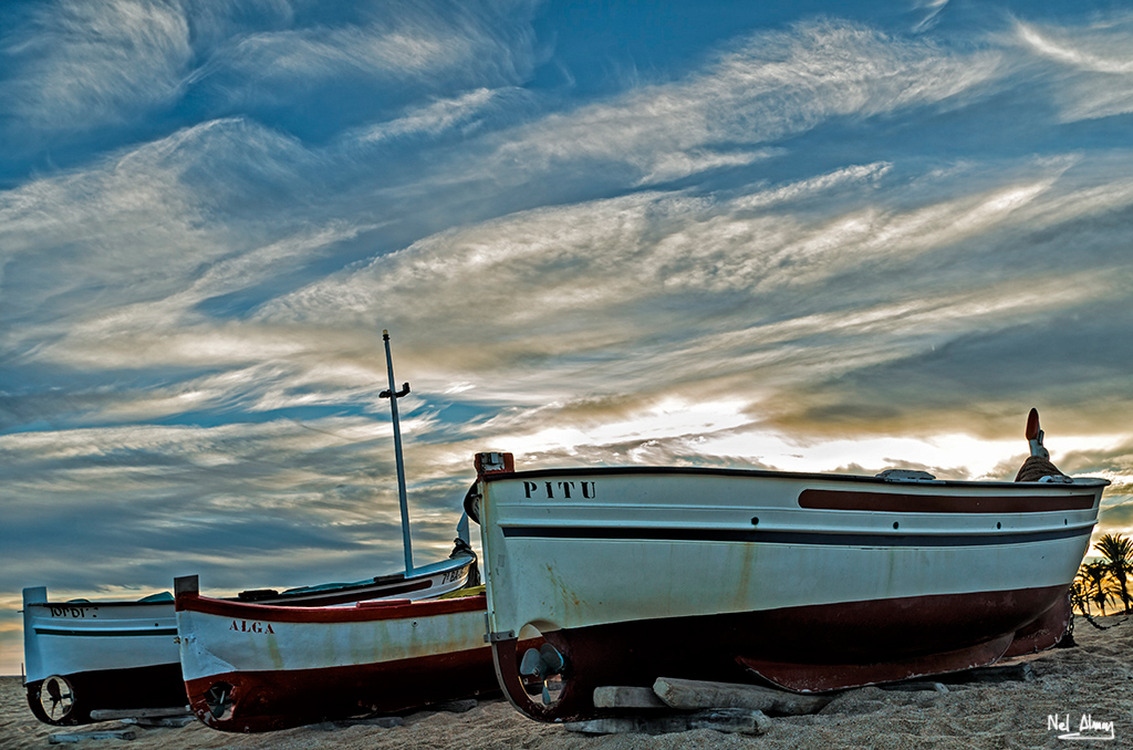 Nombre:  Blanes 2013.jpg
Visitas: 241
Tamao: 374.9 KB