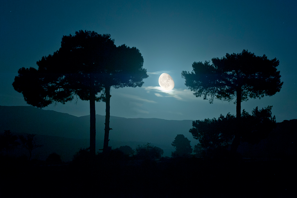 Nombre:  4 Anochece en la sierra Febrer.jpg
Visitas: 42
Tamao: 403.2 KB