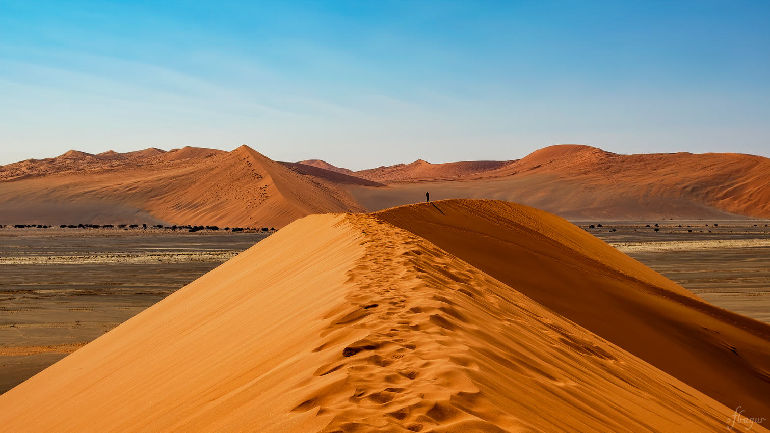 Nombre:  2019-08-11_NAMIBIA_0005_ff_v3.jpg
Visitas: 369
Tamao: 1.04 MB