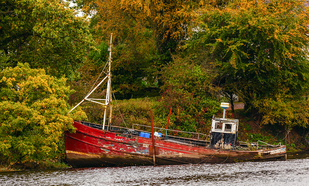 Nombre:  Barco irlandes 2web.jpg
Visitas: 301
Tamao: 721.2 KB