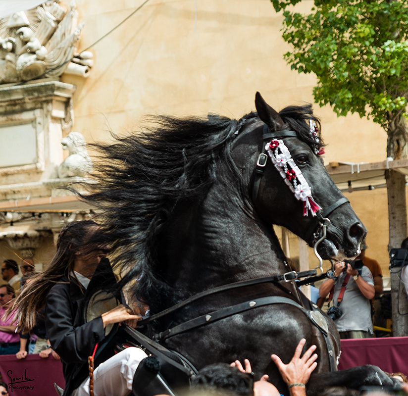 Nombre:  Festes de Gracia_0035.jpg
Visitas: 371
Tamao: 647.8 KB