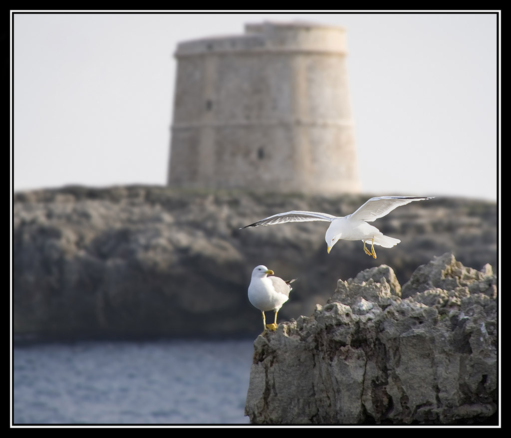 Nombre:  16-03-07 Alcaufar4 copia.jpg
Visitas: 904
Tamao: 127.7 KB